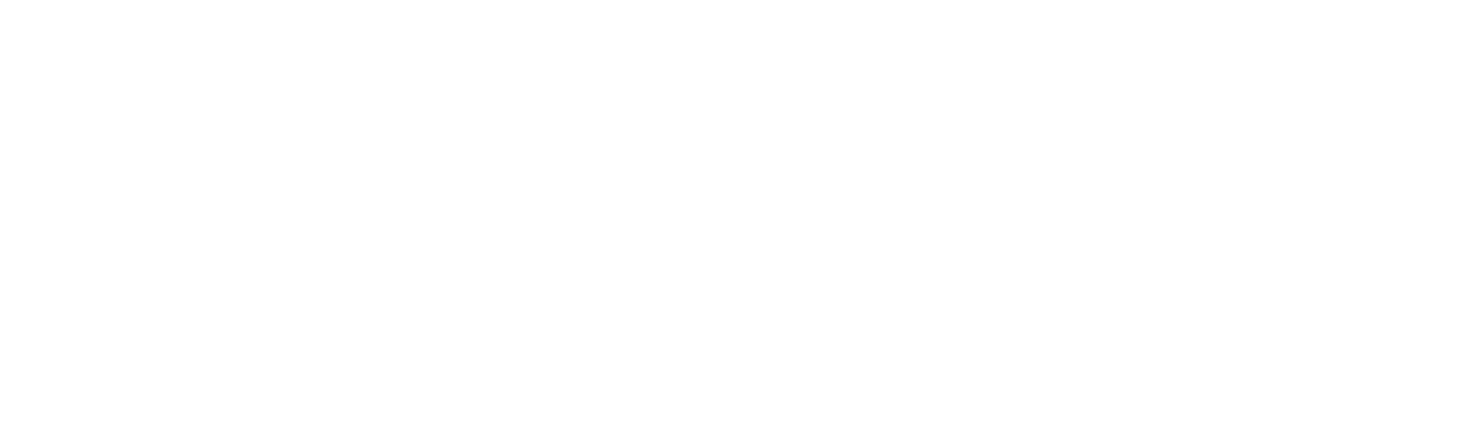LH Lifestyle GmbH - Damastmesser-Logo