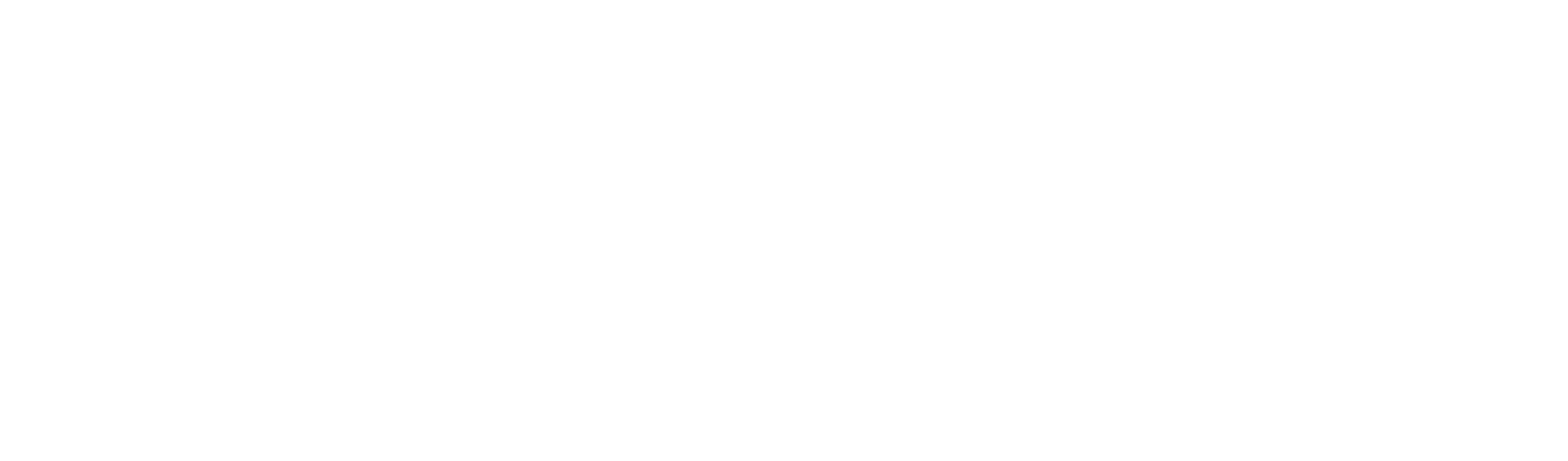 LH Lifestyle GmbH - Küchenmesser aus Damaszenerstahl-Logo